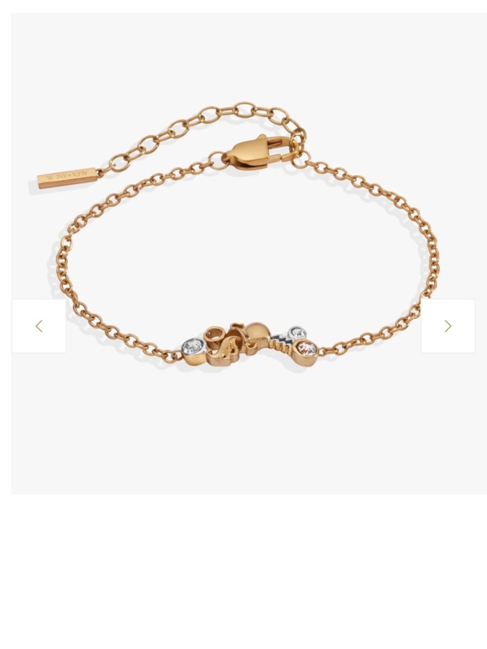 Alex and Ani Aquarius Zodiac Bracelet Stainless Steel